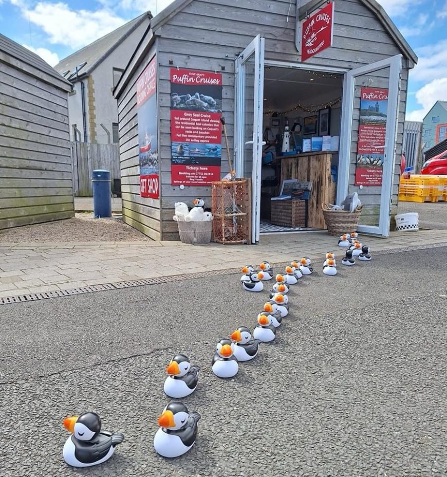 Rubber Puffin