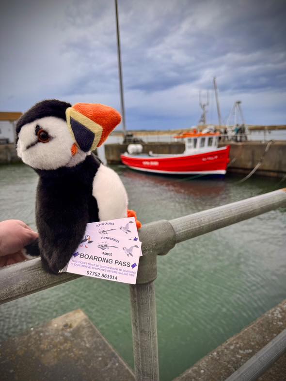 FREE.....Win 2x Cruise Tickets for Puffin Cruises